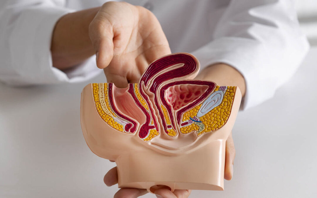 Explorando as esferas de atuação do urologista: um guia